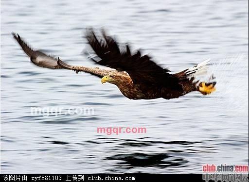 田上田的第1张照片