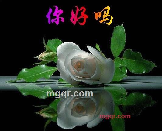 氺中鱼的第6张照片