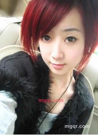 玫瑰12的第1张照片