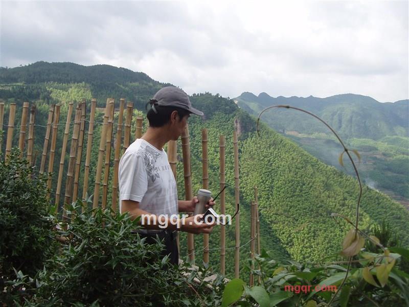 铁铮沪男的第1张照片