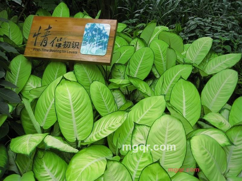 隋圆的第4张照片