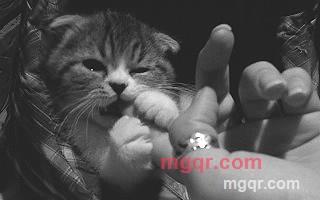 港湾8888的第1张照片