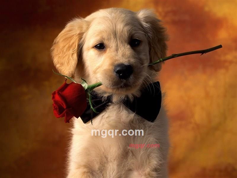 明明的第1张照片