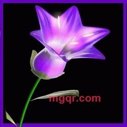 lan jing ling的第1张照片