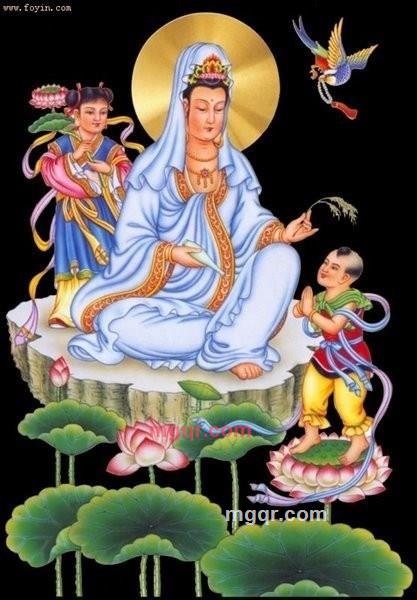 雪月情的第3张照片