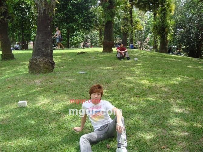 蓝*血*家*簇的第3张照片