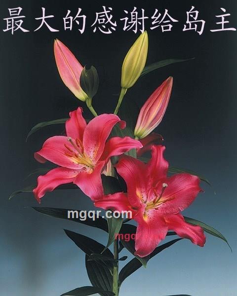 yuankundeng的第2张照片