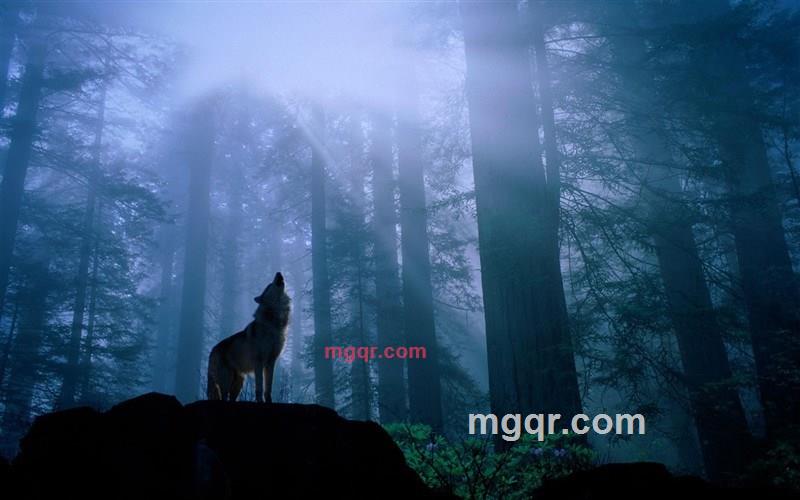 唐云的第1张照片