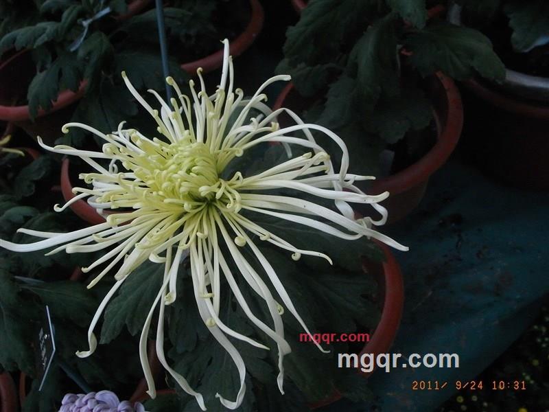 xitongbb的第4张照片