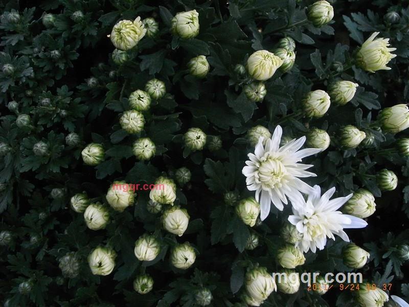 xitongbb的第3张照片