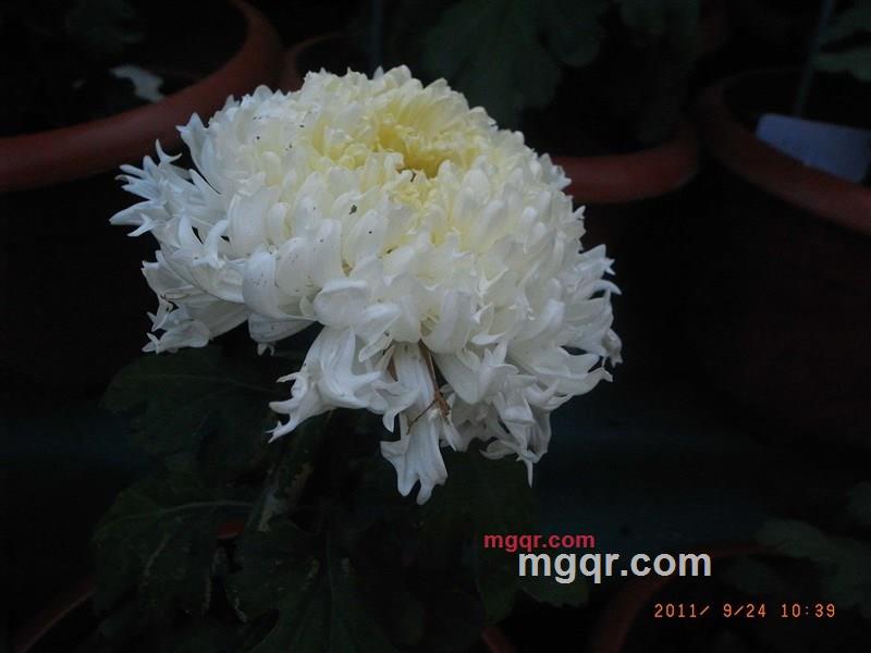 xitongbb的第2张照片