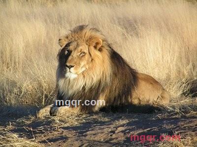 chillyfood007的第1张照片