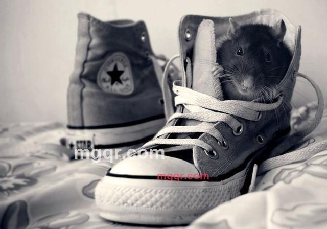 emil1127的第2张照片