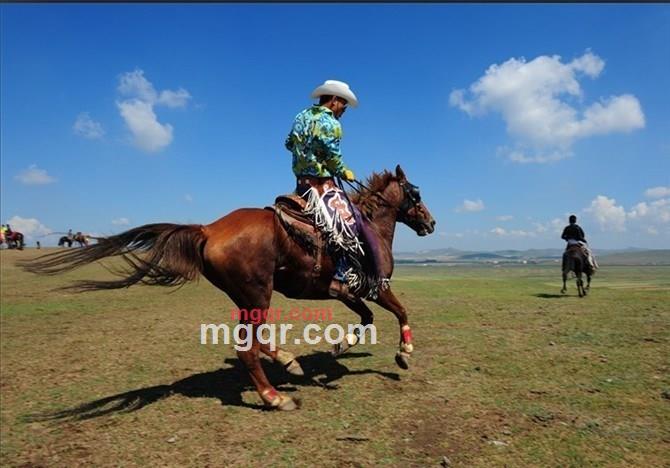 123zorro的第1张照片