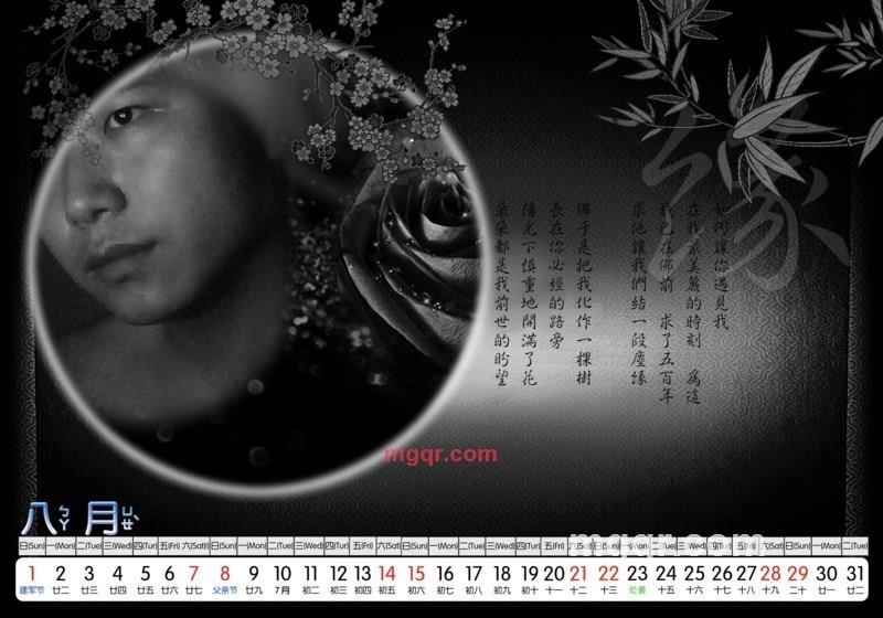 紫蓝薰衣草的第1张照片