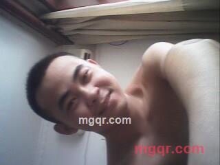 竹子2的第1张照片