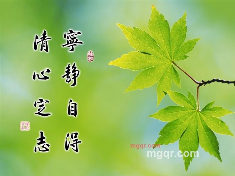 没钱情人的第1张照片