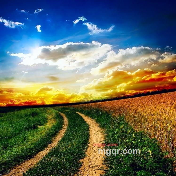 燃烧的岁月的第19张照片