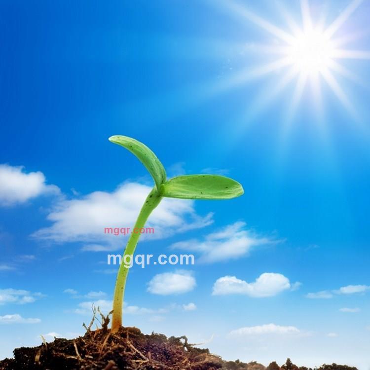 燃烧的岁月的第16张照片