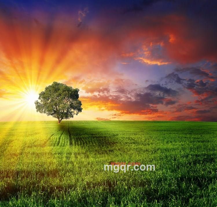 燃烧的岁月的第17张照片