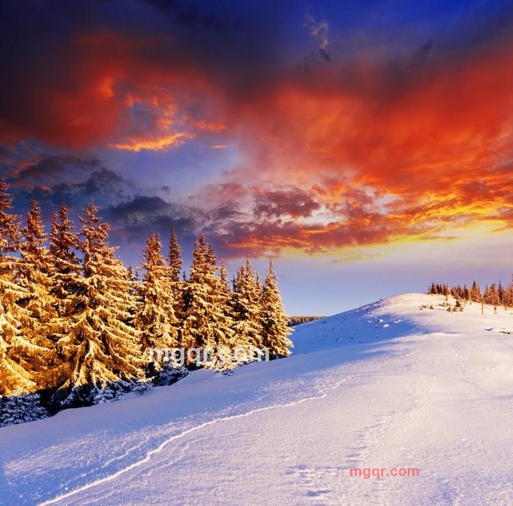 燃烧的岁月的第12张照片