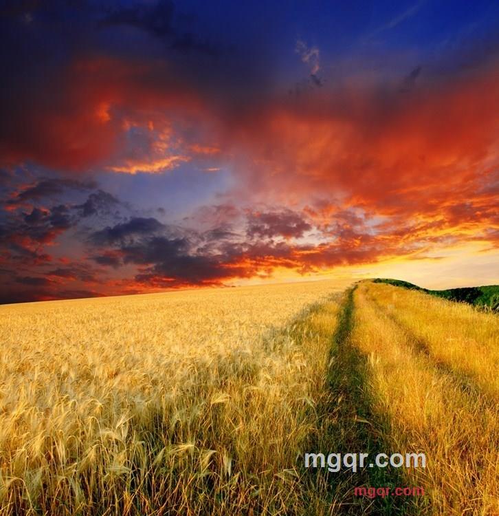 燃烧的岁月的第9张照片