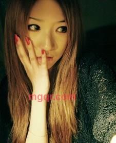 优雅的刺猬的第1张照片