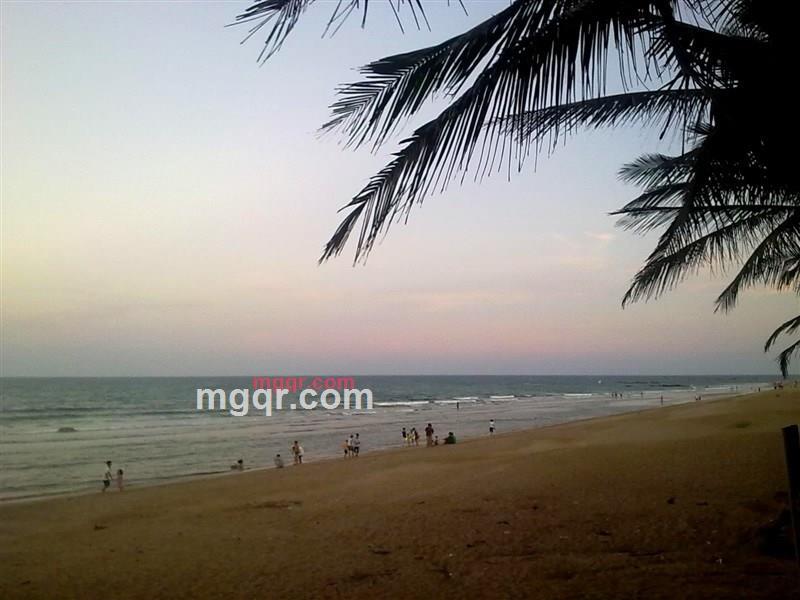 enjor的第1张照片