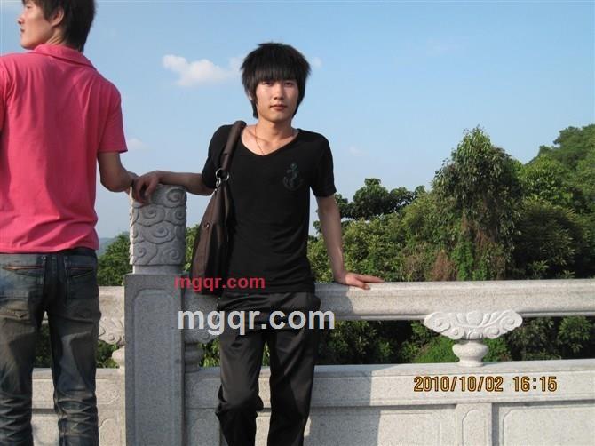 茶杯里的叶子的第9张照片