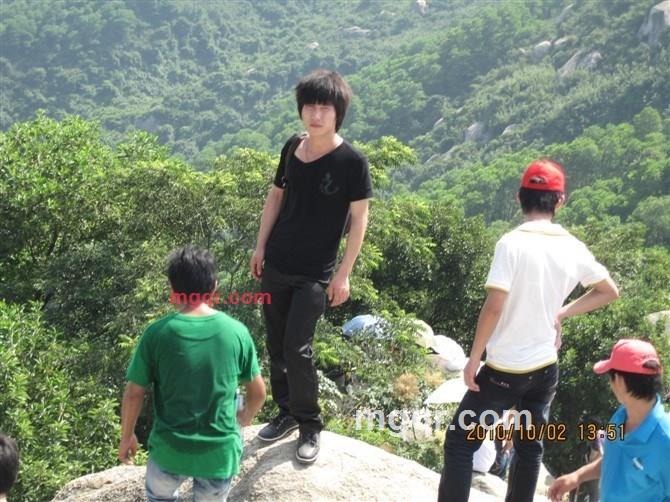 茶杯里的叶子的第8张照片