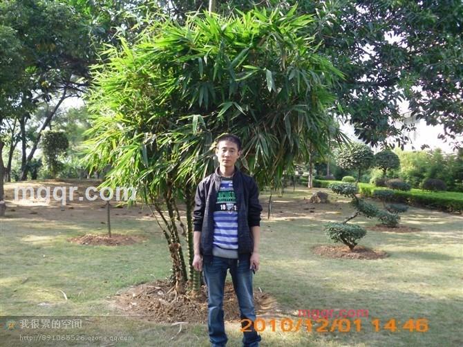 _婲鈊乄尐帥的第1张照片