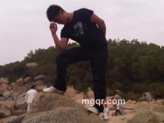 北极箭鱼的第2张照片