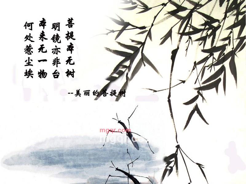 muyu12的第8张照片