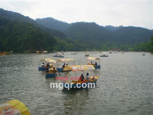 孤独的·心儿的第2张照片