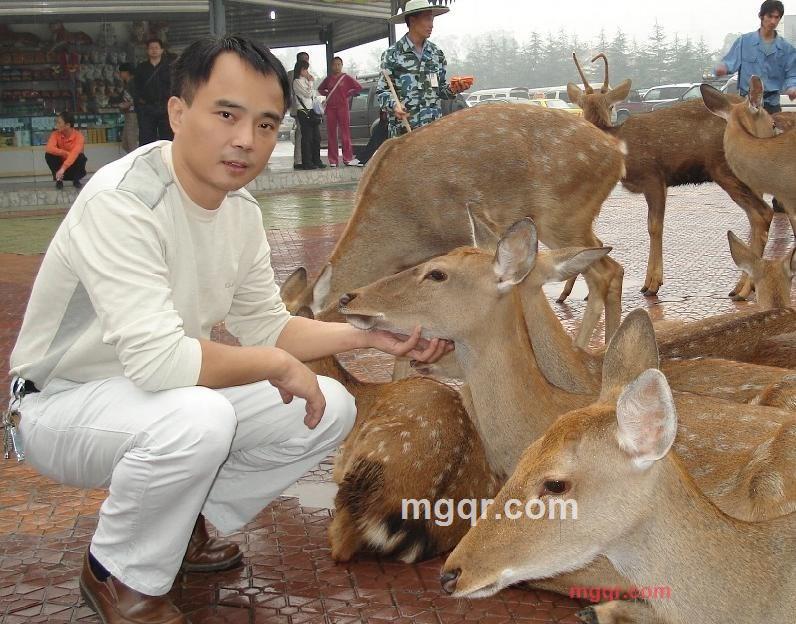此情在等待的第1张照片