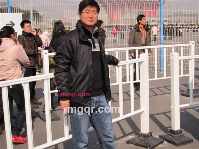 叶与风相伴的第6张照片