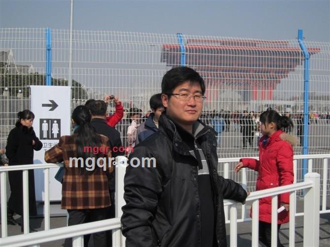 叶与风相伴的第5张照片