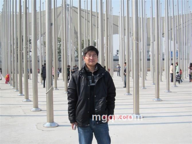 叶与风相伴的第4张照片