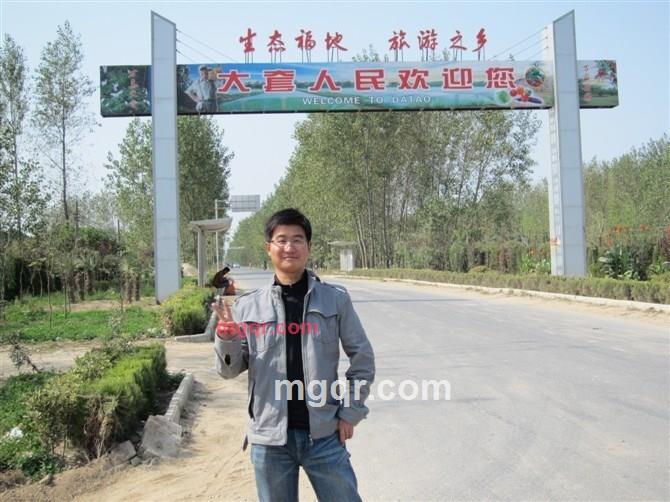 叶与风相伴的第2张照片