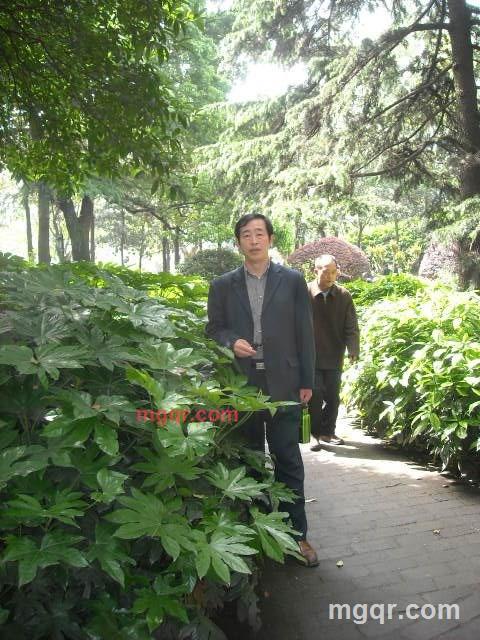 强欲帅男的第3张照片