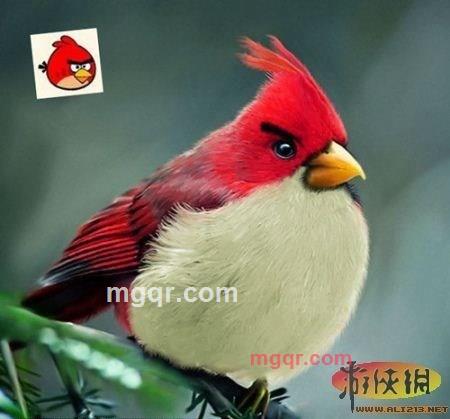 Jokerf的第1张照片