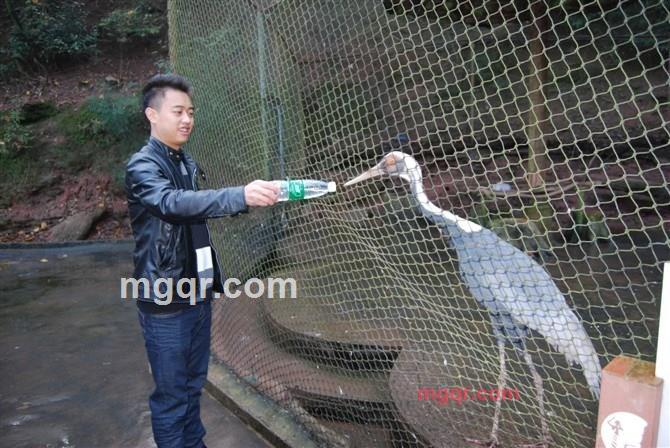 v1叫花子的第3张照片