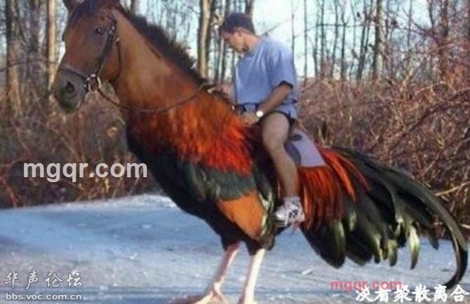 生活如麻的第5张照片