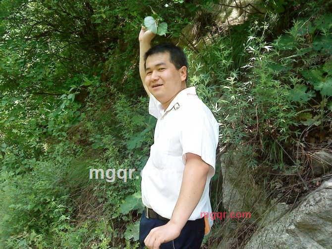 玫瑰骑士1的第5张照片