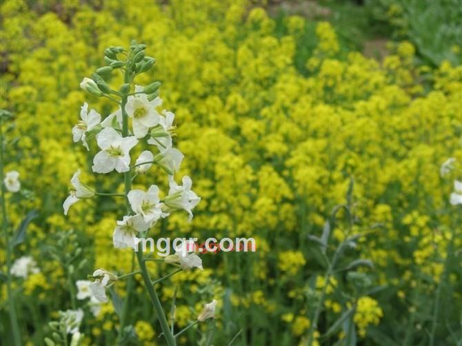 深夜沉醉的第9张照片