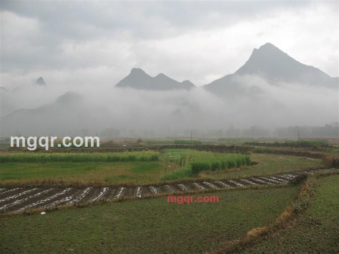 深夜沉醉的第8张照片