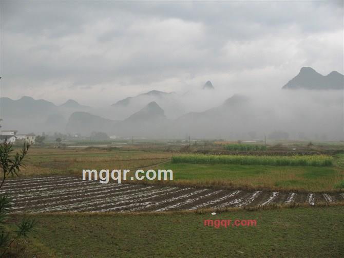 深夜沉醉的第7张照片