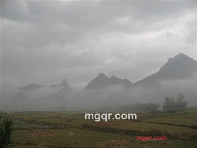 深夜沉醉的第6张照片