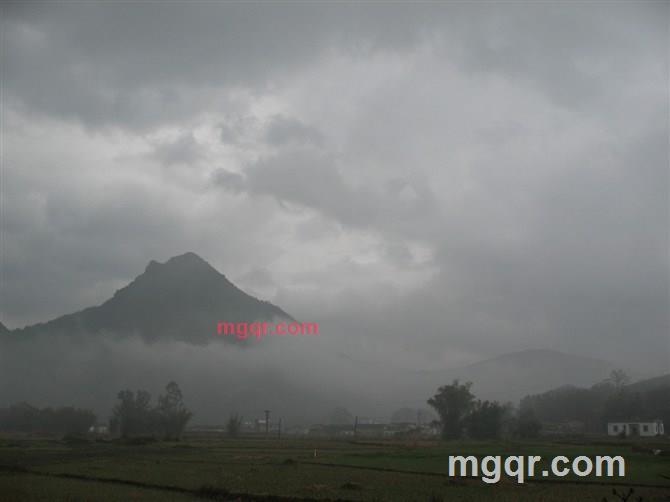 深夜沉醉的第4张照片