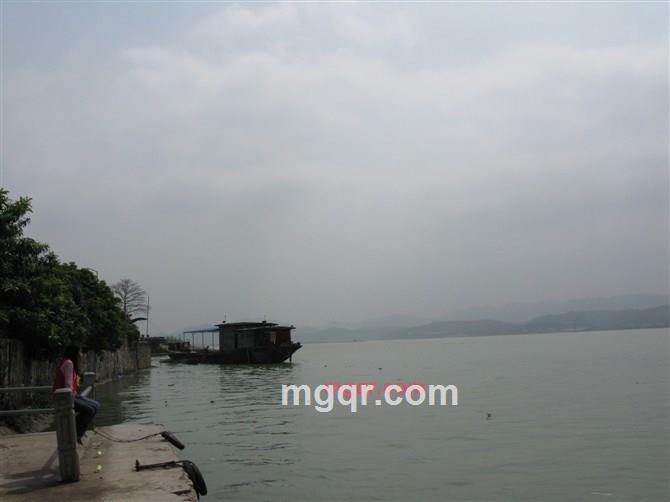 深夜沉醉的第2张照片